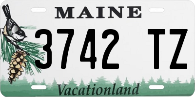 ME license plate 3742TZ
