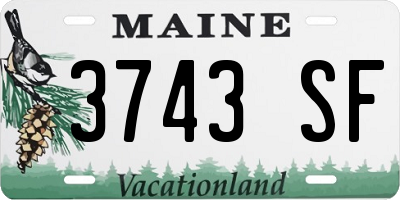 ME license plate 3743SF