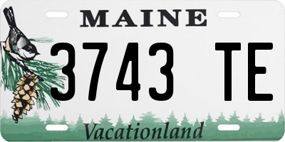 ME license plate 3743TE