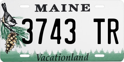 ME license plate 3743TR