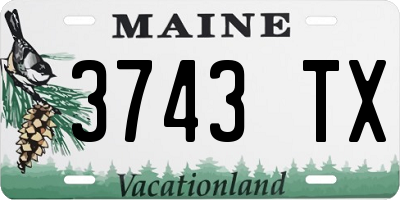 ME license plate 3743TX