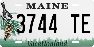ME license plate 3744TE