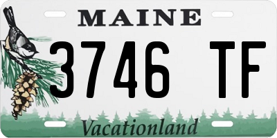 ME license plate 3746TF