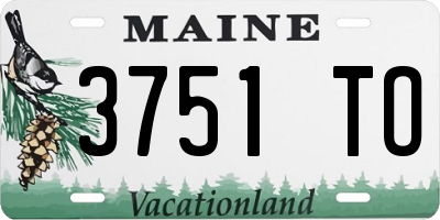 ME license plate 3751TO