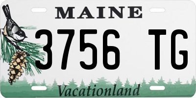 ME license plate 3756TG