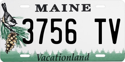 ME license plate 3756TV