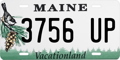 ME license plate 3756UP