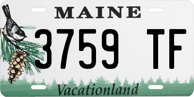 ME license plate 3759TF