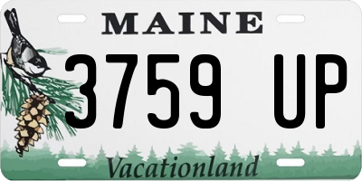ME license plate 3759UP