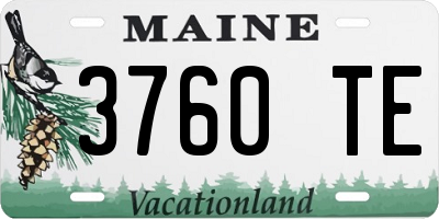 ME license plate 3760TE