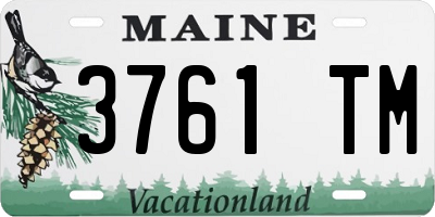 ME license plate 3761TM