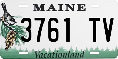 ME license plate 3761TV