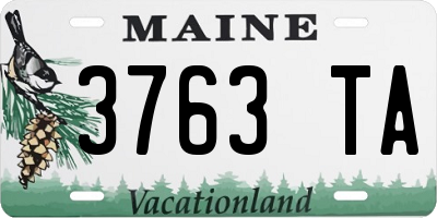 ME license plate 3763TA