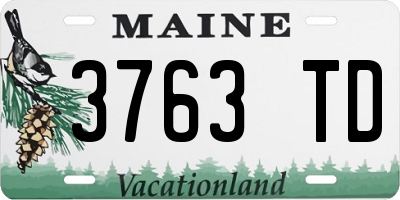 ME license plate 3763TD