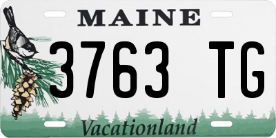 ME license plate 3763TG