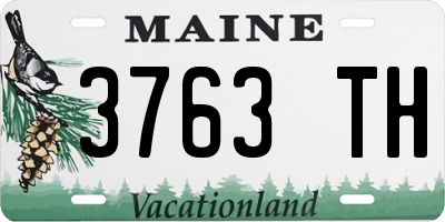 ME license plate 3763TH
