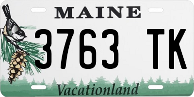 ME license plate 3763TK