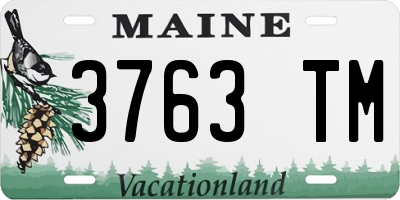 ME license plate 3763TM