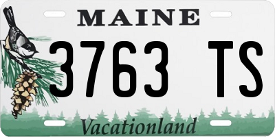 ME license plate 3763TS