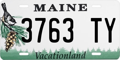ME license plate 3763TY