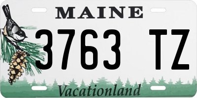 ME license plate 3763TZ