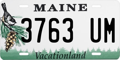 ME license plate 3763UM