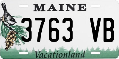 ME license plate 3763VB