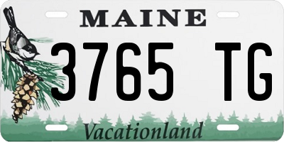 ME license plate 3765TG