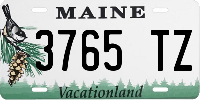 ME license plate 3765TZ