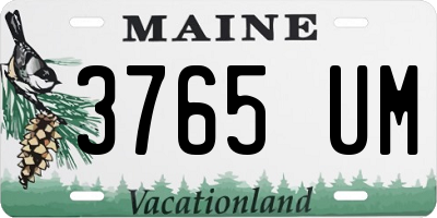 ME license plate 3765UM