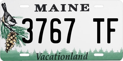 ME license plate 3767TF