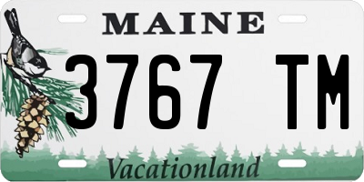 ME license plate 3767TM