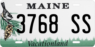 ME license plate 3768SS