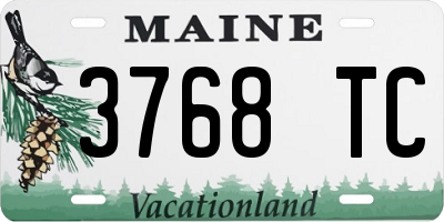 ME license plate 3768TC