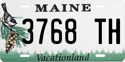 ME license plate 3768TH