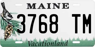 ME license plate 3768TM