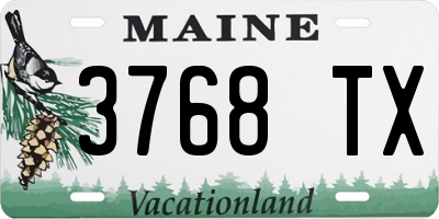 ME license plate 3768TX