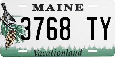 ME license plate 3768TY