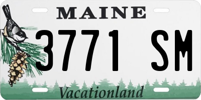 ME license plate 3771SM