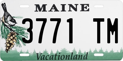 ME license plate 3771TM