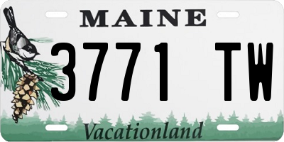 ME license plate 3771TW