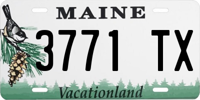 ME license plate 3771TX