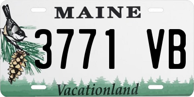 ME license plate 3771VB