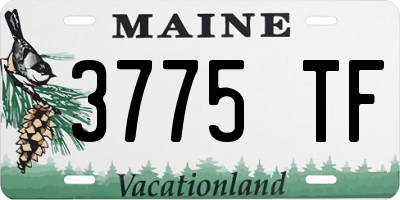 ME license plate 3775TF