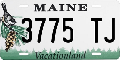 ME license plate 3775TJ