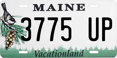 ME license plate 3775UP
