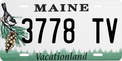 ME license plate 3778TV