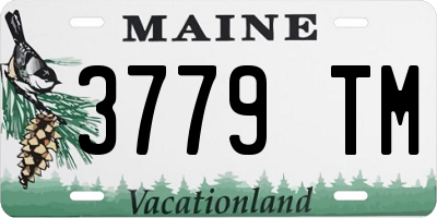 ME license plate 3779TM