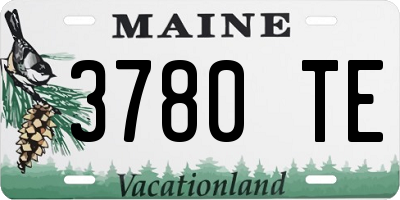 ME license plate 3780TE