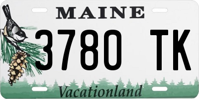 ME license plate 3780TK